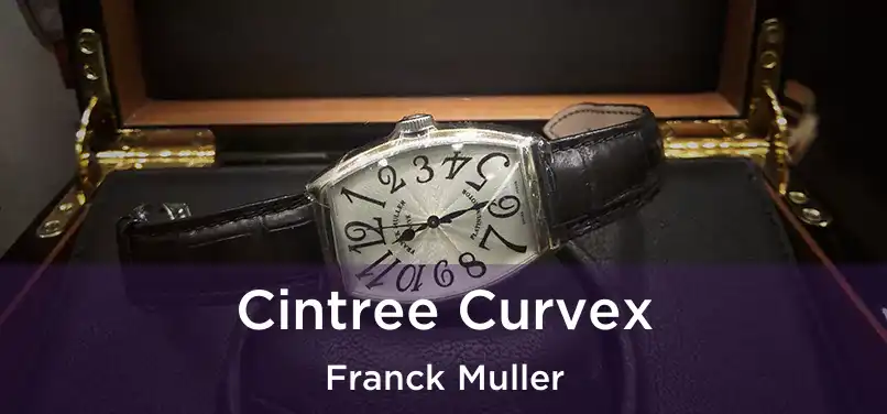  Cintree Curvex Franck Muller
